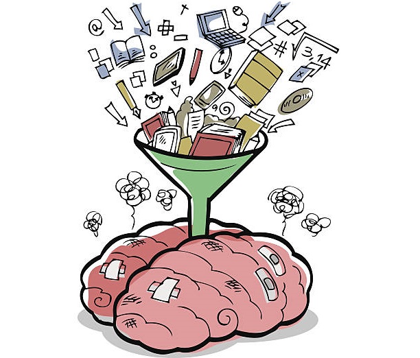 brain